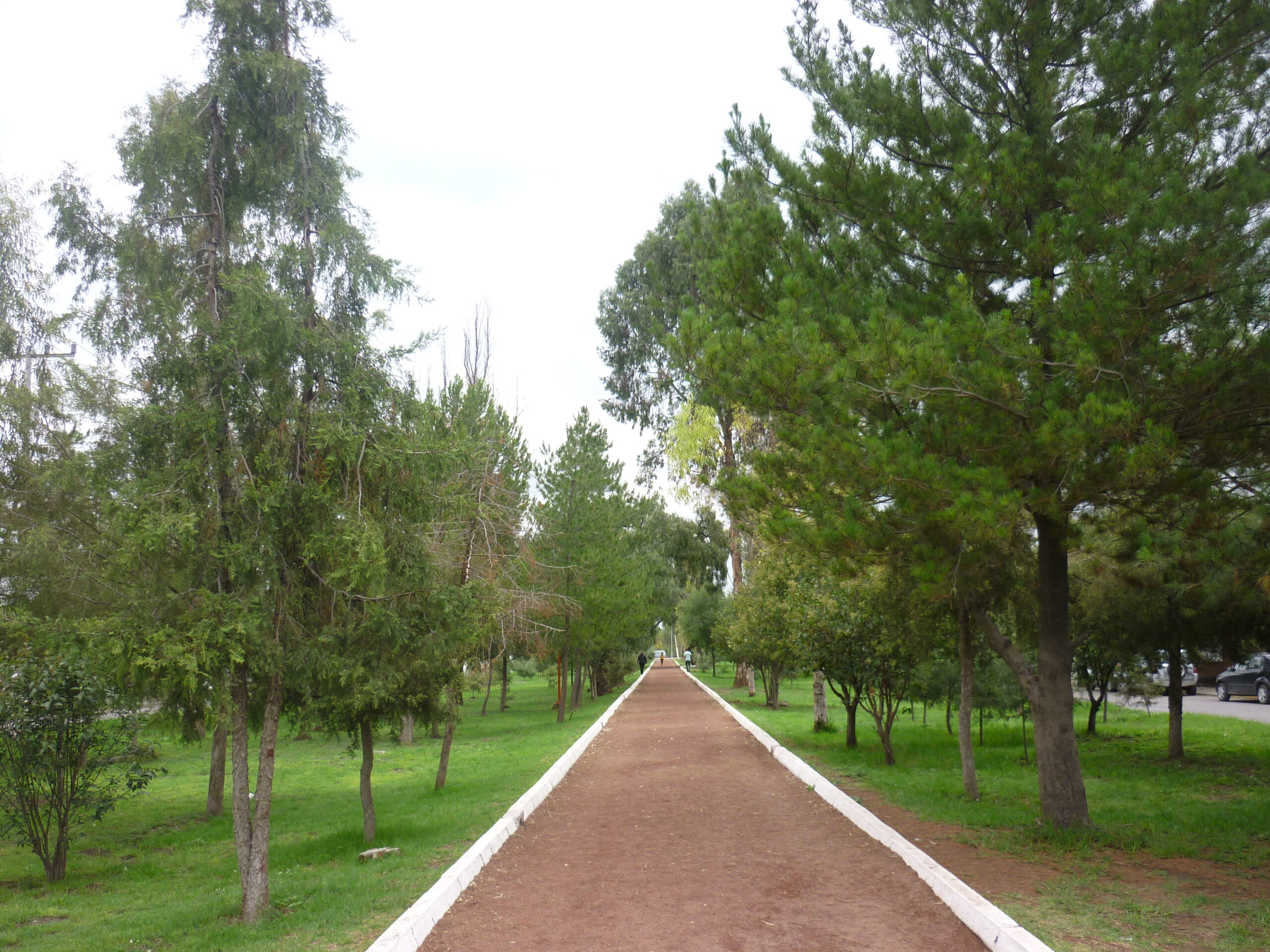 Boulevard Ojo de Agua Todo lo que necesitas saber sobre esta increíble