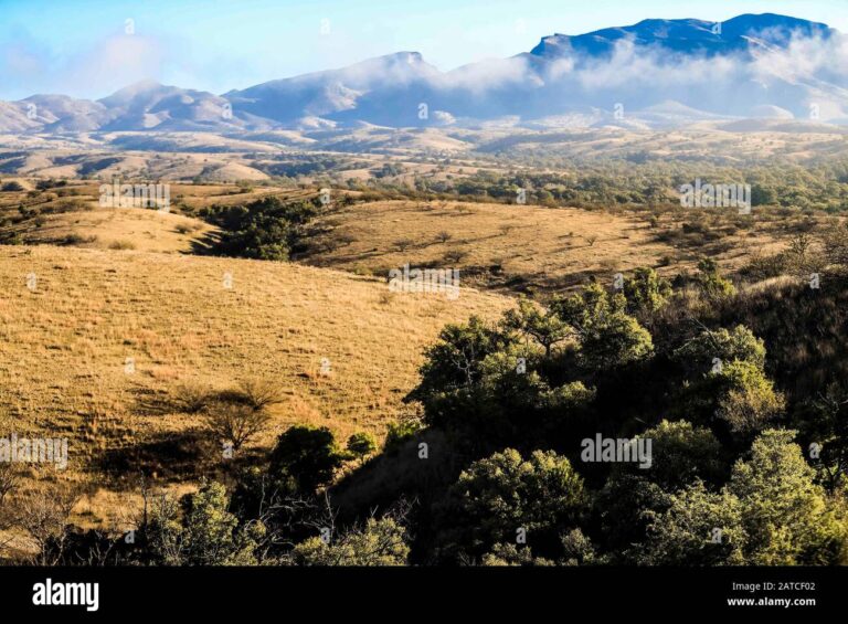 Descubre Las Maravillas Ocultas Del Impresionante Valle De Los Encinos