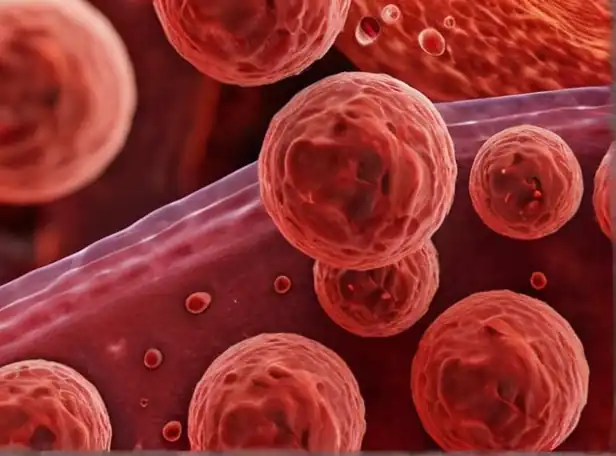 Red blood cells under microscope with scientific background