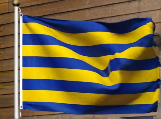 A national flag with blue and yellow stripes