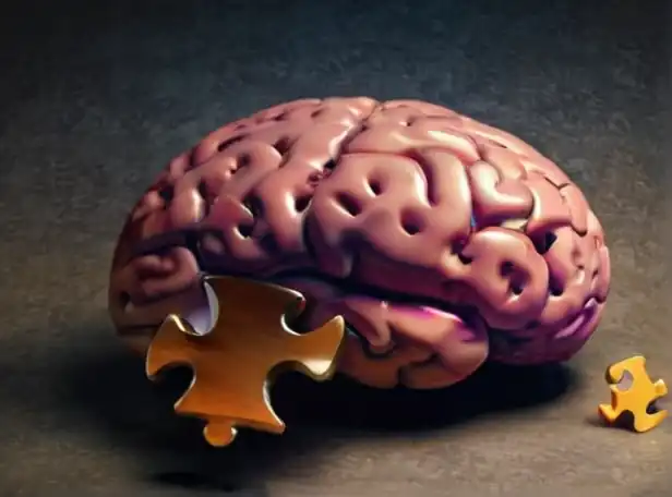 A human brain with a puzzle piece fitting together
