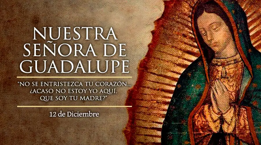 Manto de la Virgen de Guadalupe: significado y dónde está