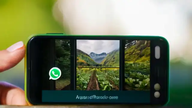 Smartphone pantalla con archivo compartido en WhatsApp