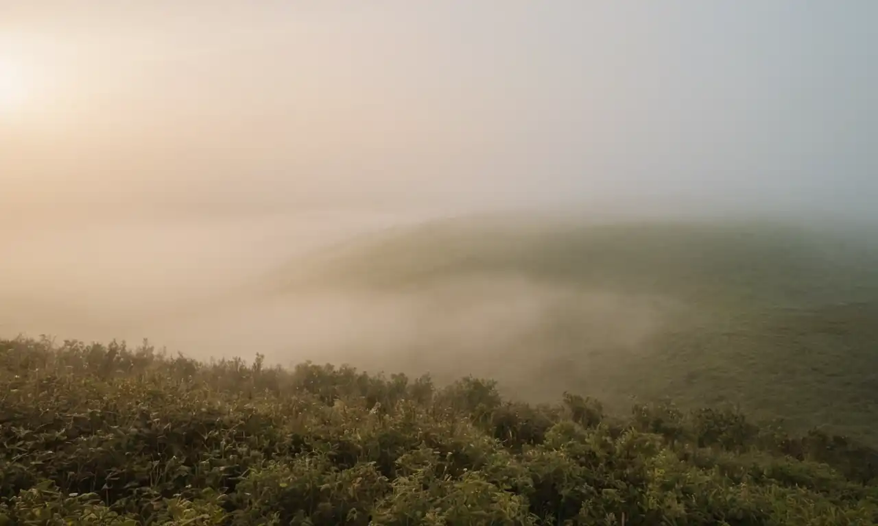 Fotos digitales desvaneciéndose en la niebla con herramienta de restauración