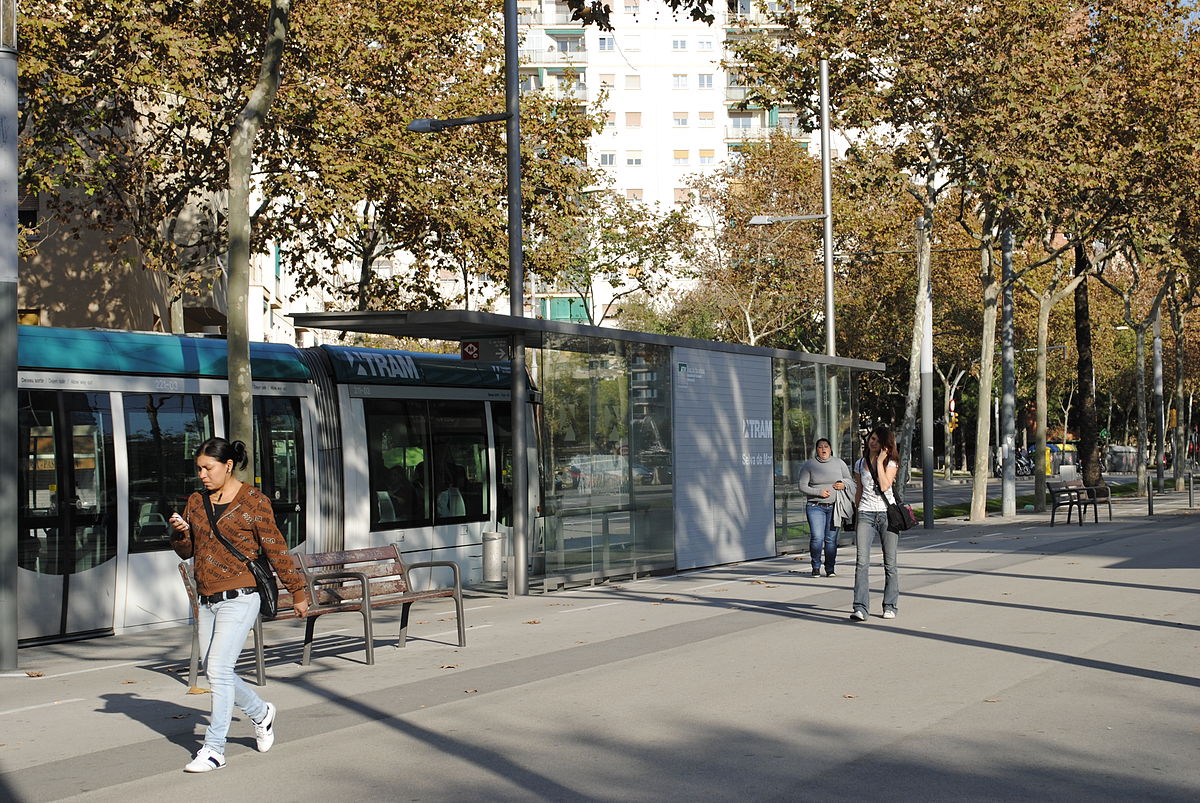 Explora la fascinante Selva de Mar Metro y descubre sus secretos ocultos