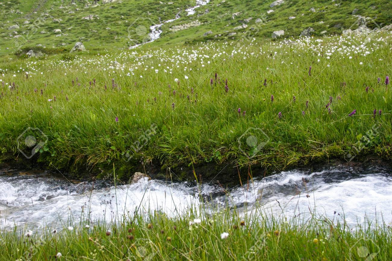 Línea por donde corren las aguas de un valle Descubre cómo aprovechar al máximo su potencial Línea por donde corren las aguas de un valle Descubre cómo aprovechar al máximo su potencial